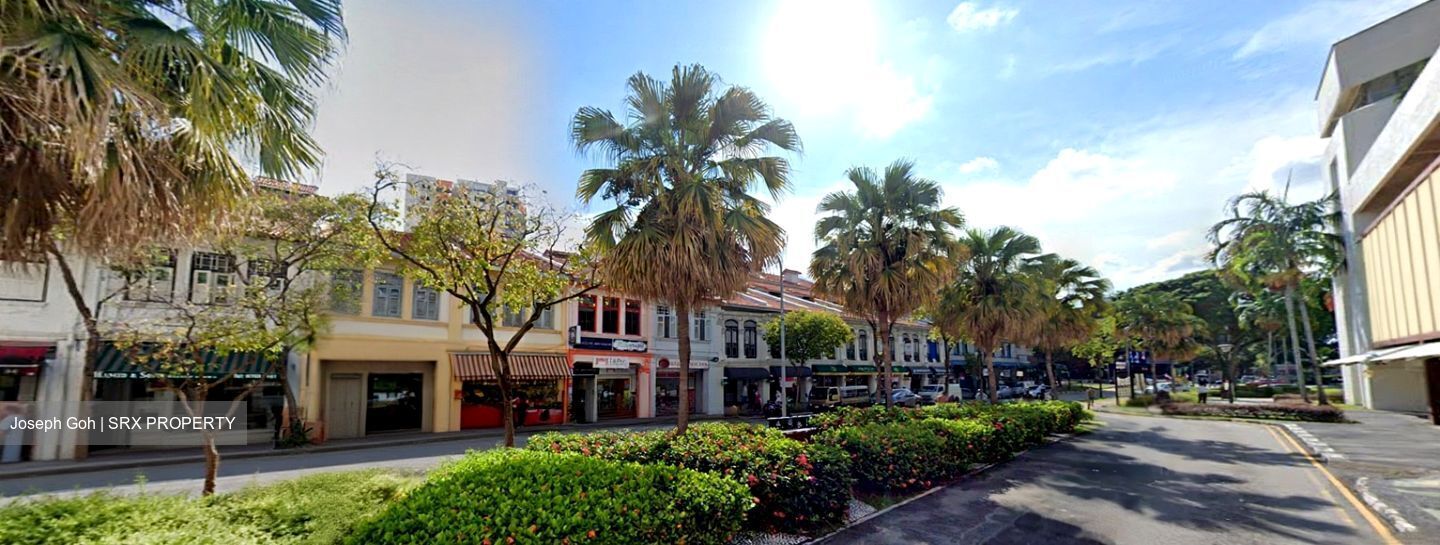Joo Chiat Road (D15), Shop House #482835151